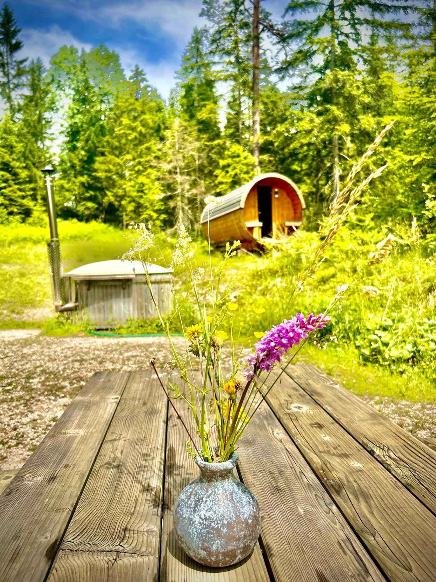 Chalet วิลดาลเพน ภายนอก รูปภาพ