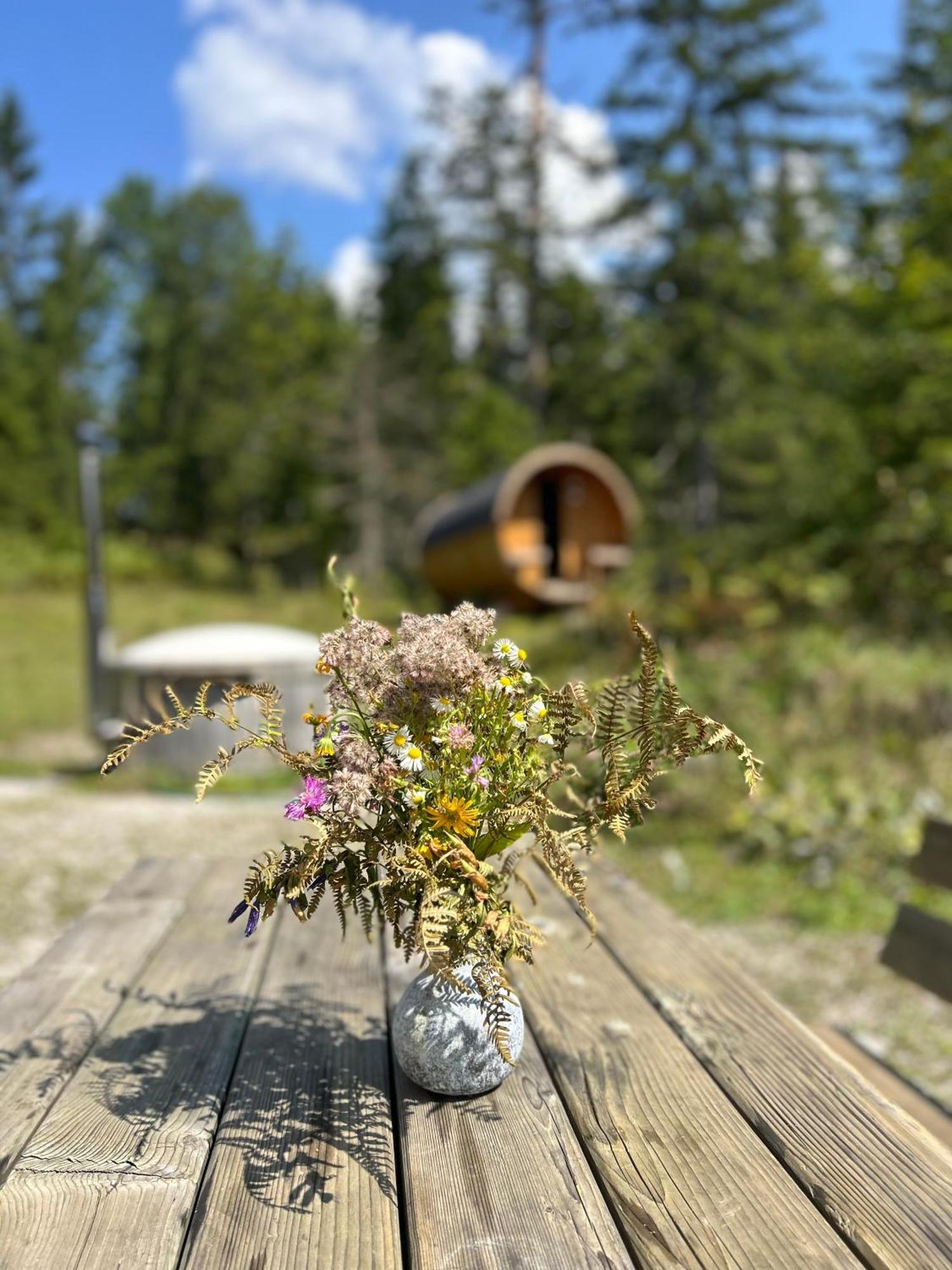 Chalet วิลดาลเพน ภายนอก รูปภาพ